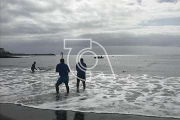 Melenara rememora el chinchorro y la varada del pescado (Foto TA)